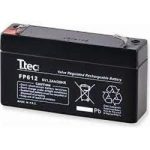 Ttec 6V 1.3AH Bakımsız Kuru Akü - Görsel 2