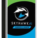 Seagate 10Tb St10000Ve001